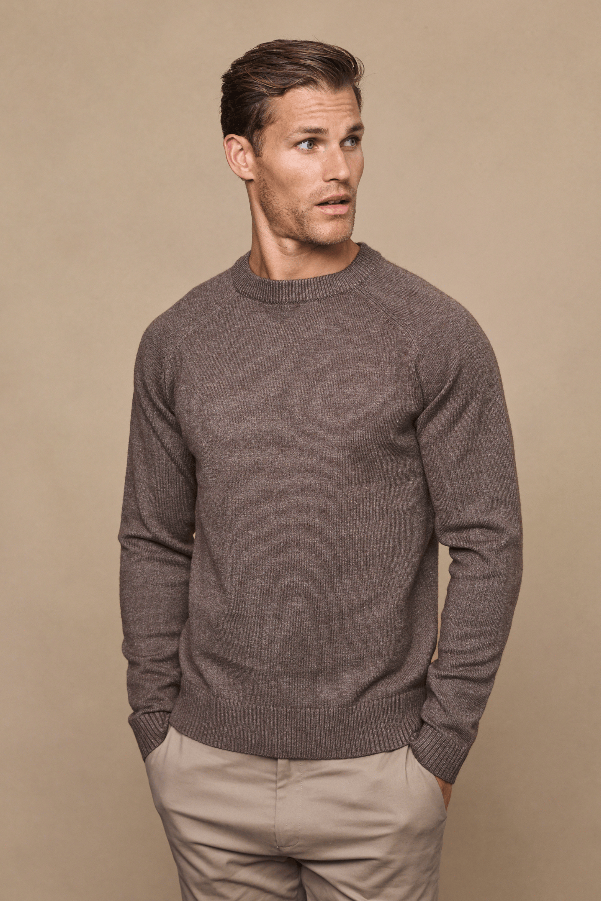 Lando Crew Neck Knit Sweater - Brown Marl